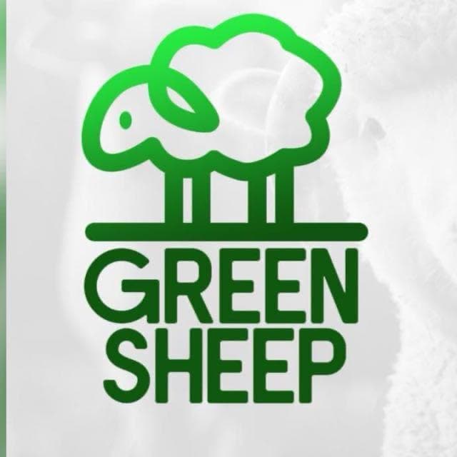 Green Sheep