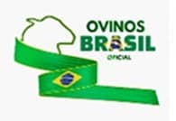 Ovinos Brasil Oficial